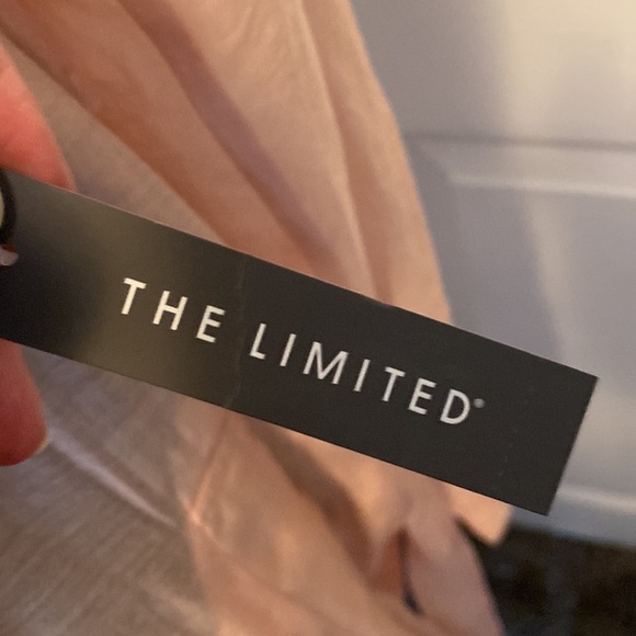 The Limited Women’s Sheer Pink Trench Coat Jacket NWT Spring Summer Dress Cover - Picture 6 of 8